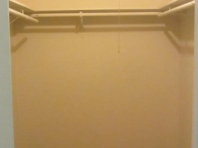 Walk in closet in Master Bedroom.