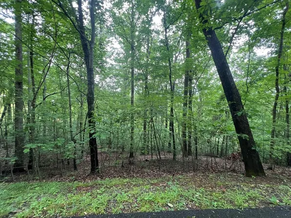 0 Ash Branch Cir, Hayesville, NC 28904