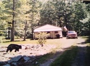 161 S Mountain Rd, Orviston, PA 16864