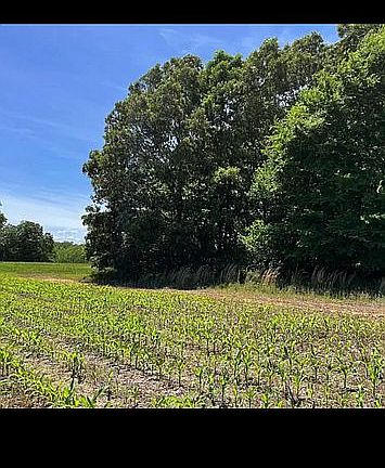 Backside of property 