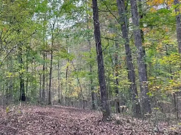 6348 Pumping Station Rd, Cypress Inn, TN 38452