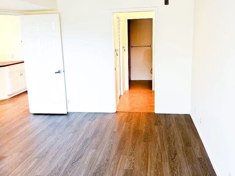 Master bedroom into master bathroom and living area