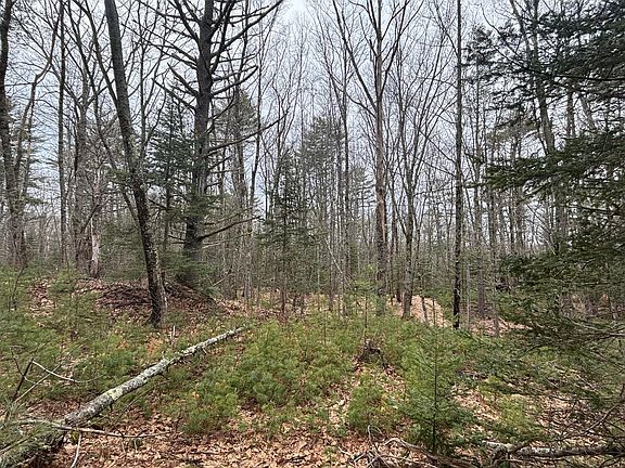 4th image of 74 Mountain Road