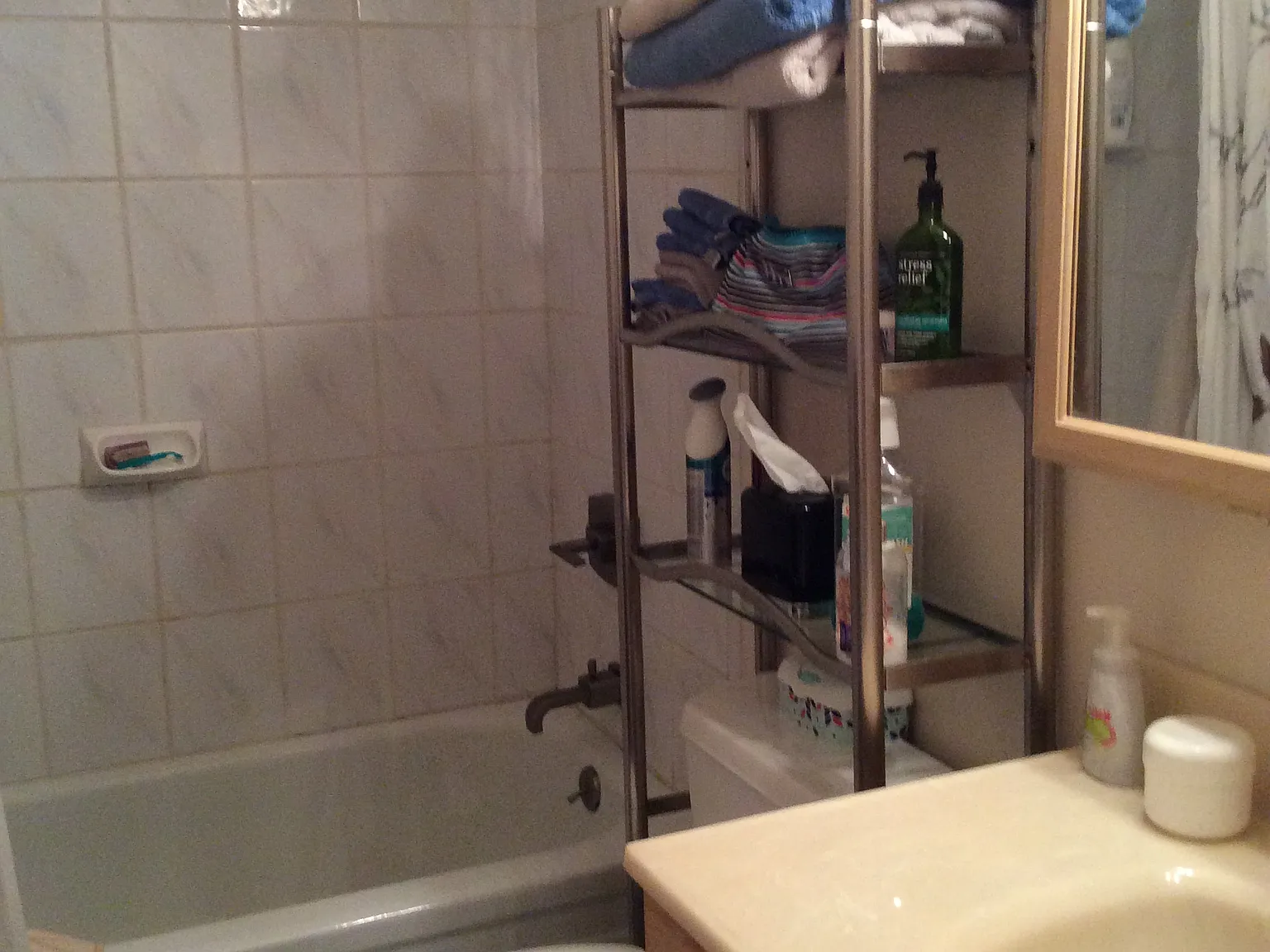 1 bed, 825 sqft, $1,600 — Photo 3