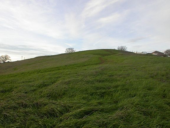 View from Rear Lot line