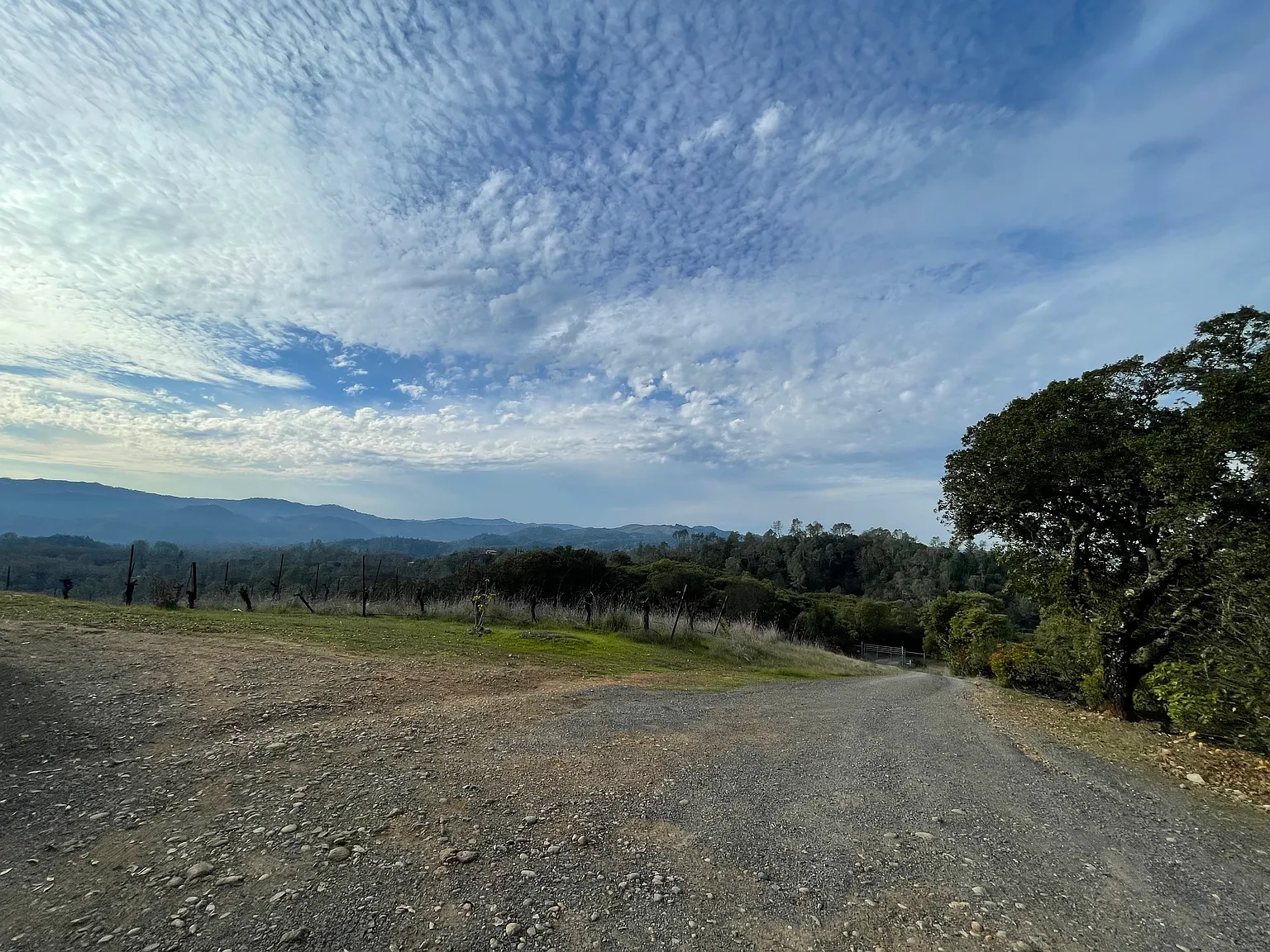 24401 Rich Ranch Rd — Photo 4