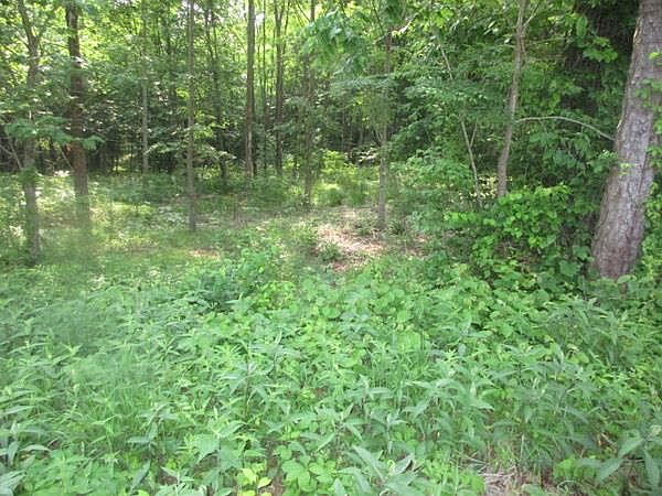 1st image of 0 Hinkledale Rd