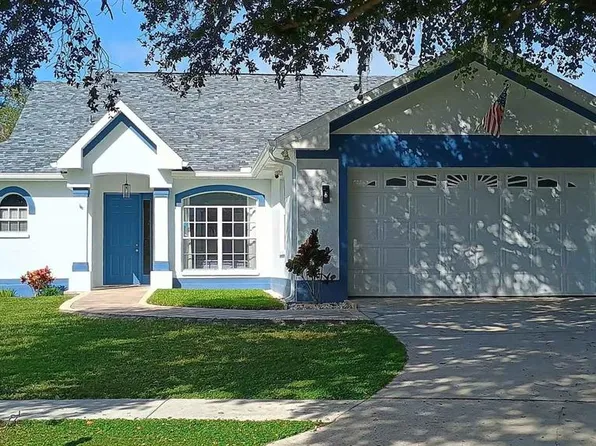2401 Tangerine Hill Ct, Lutz, FL 33549