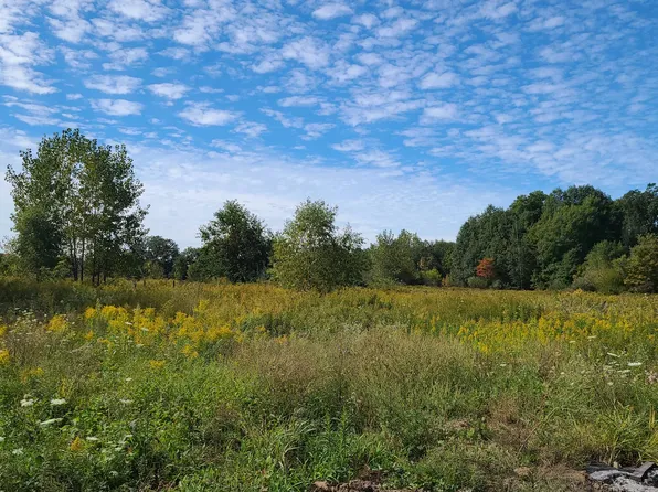 V L 30th St, Allegan, MI 49010