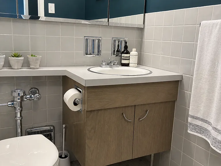 3550 N Lake Shore Dr #2513 — Photo 11