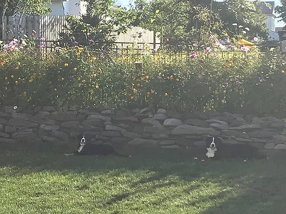 3rd image of 509 Arboretum Dr