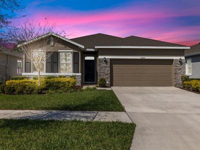 13323 Waterleaf Garden Cir, Riverview, FL, 33579