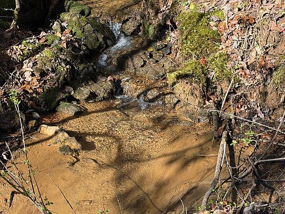 4th image of 1207 Bullen Gap Rd