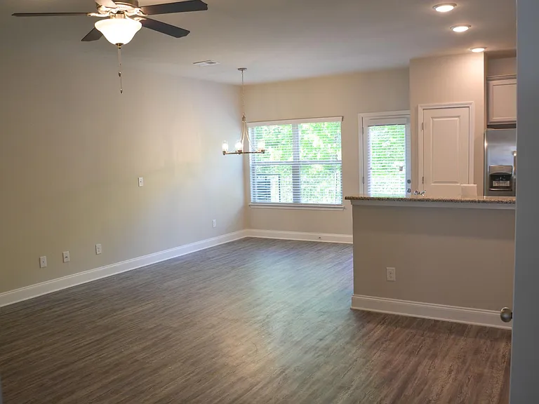 7124 Fringe Flower Dr — Photo 5