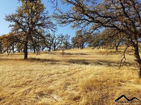 4th image of LOT 42 Deer Crest Trl