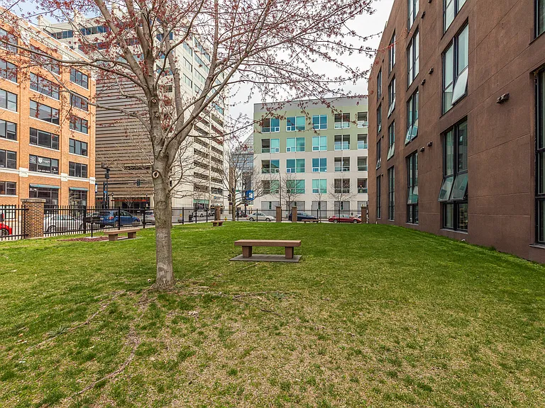 Green Space - Outdoor Dining & Grilling