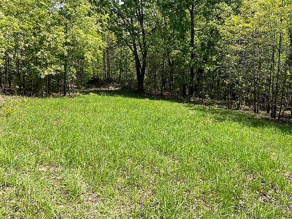2nd image of 000 County Road P-309