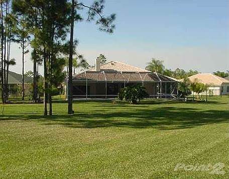 20130312045408212763000000-o[1]