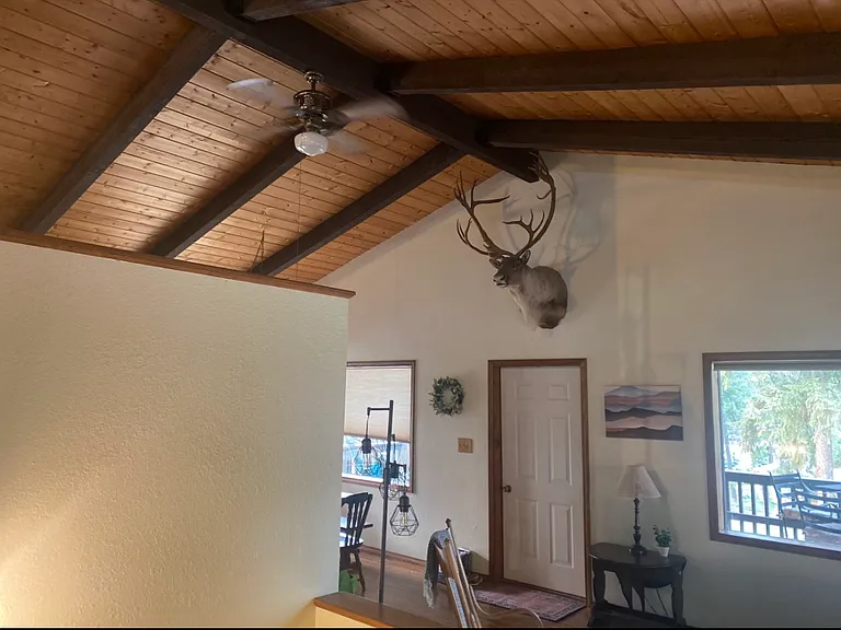 154 Pine Ct — Photo 6
