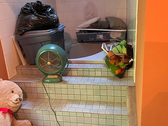 Walk up jacuzzi tub MBR