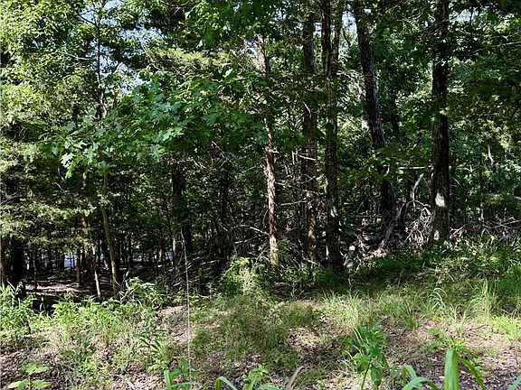 2nd image of 40 Pine Dr