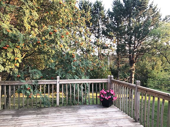 View from backyard deck