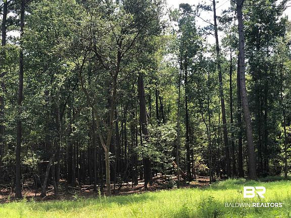 5th image of 10280 Old Stage Rd