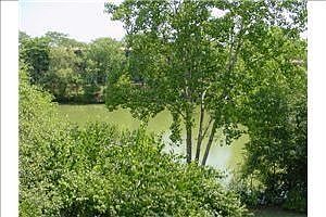 View from Balcony 2nd floor