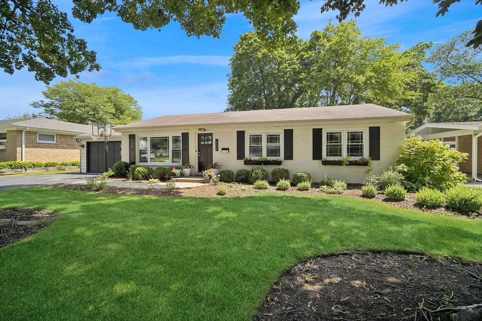 505 Pine Ct photo 1