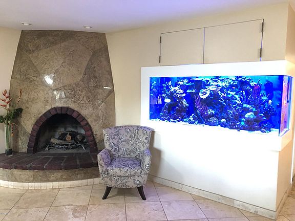 CUSTOM FISH TANK!