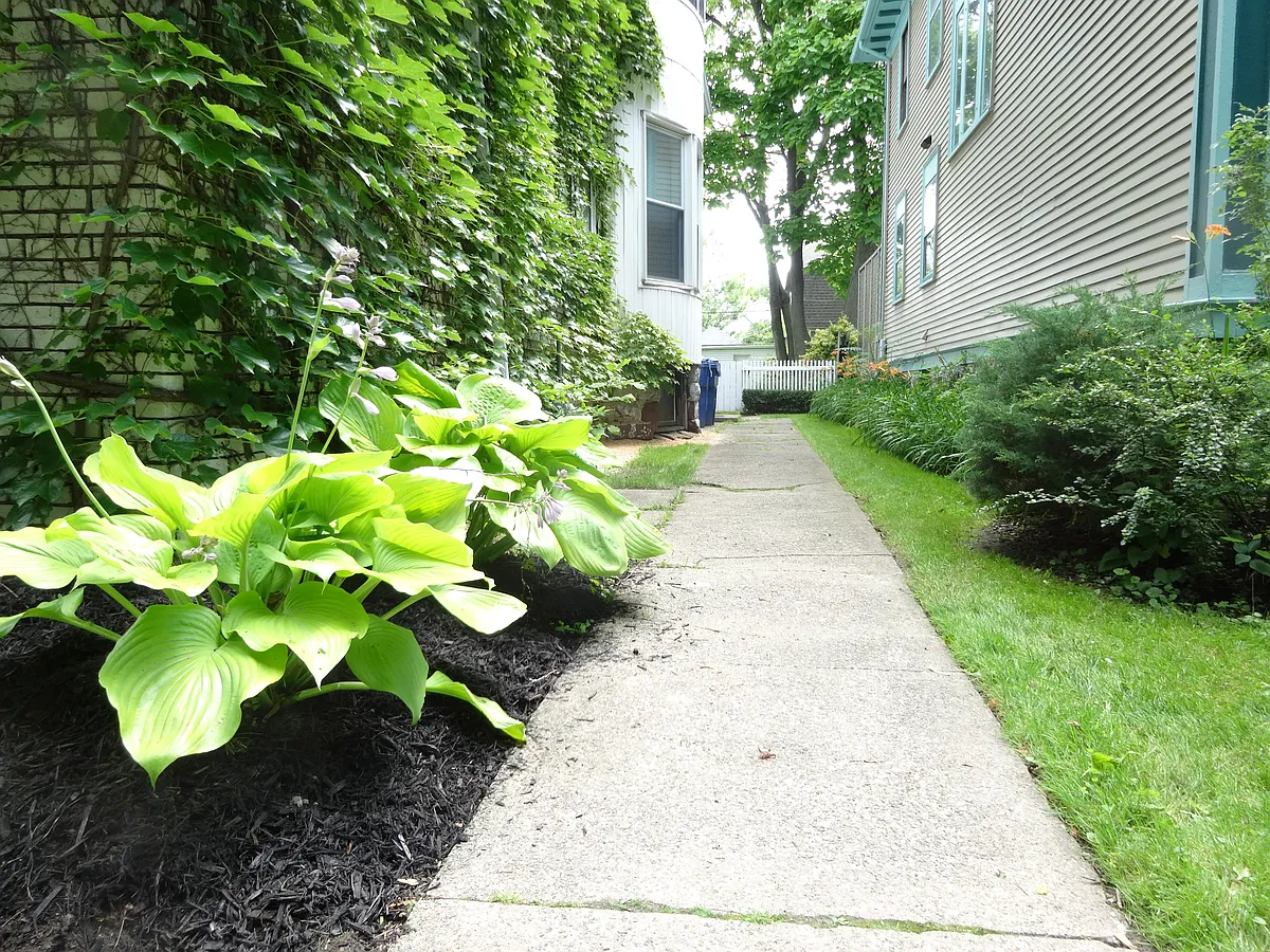 Building Photo - 467 Norwood Ave #1F