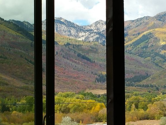 Midway's best views. 