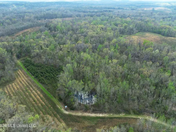 Chinqupin Rd, Lexington, MS 39095
