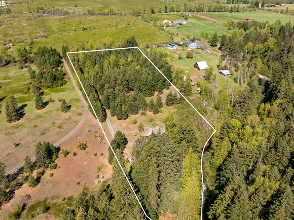 96 Mt Adams Rd, Trout Lake, WA 98650