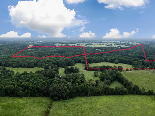 412 County Road 543, Rogersville, AL 35652