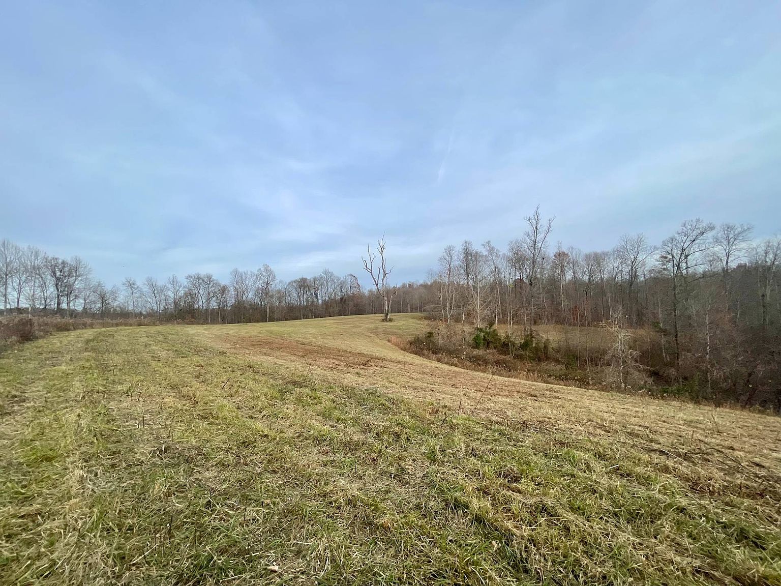 0 Tucker Woods Rd, Knifley, KY 42753 | Zillow