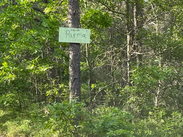 Parma Rd, Grayling, MI 49738