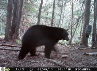 Mason Rd, Grawn, MI 49637