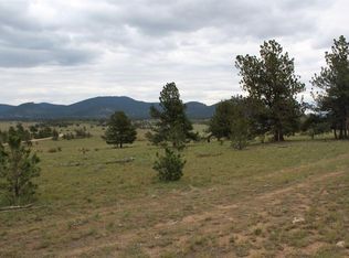 2282 Arapaho Trl, Hartsel, CO 80449