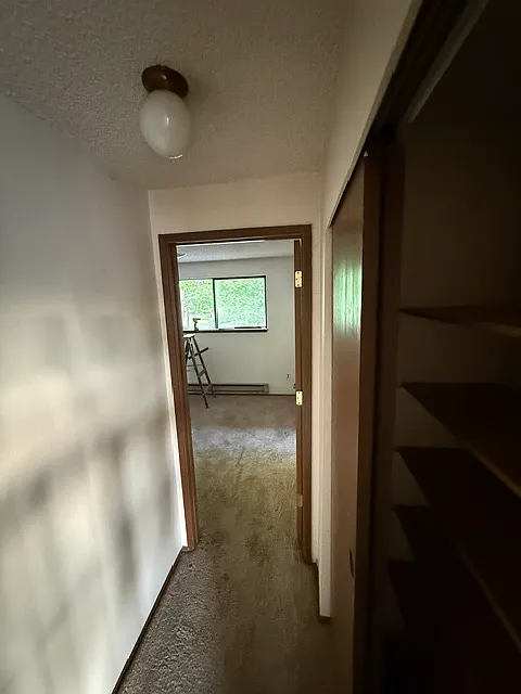 2 bed, 1000 sqft, $2,000 — Photo 3