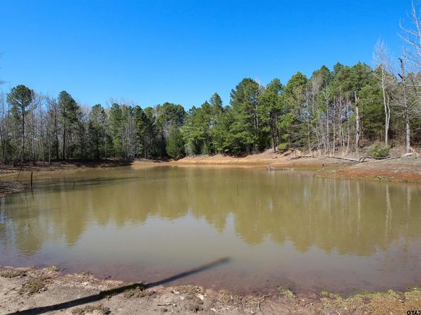 7104 Pin Oak Rd, Big Sandy, TX 75755
