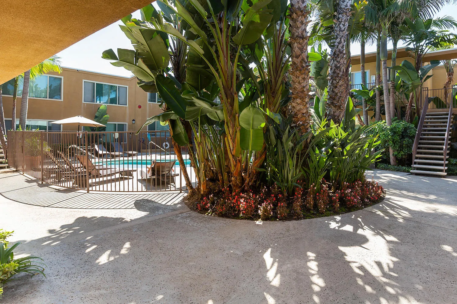 Elan Coco Palms — Photo 3