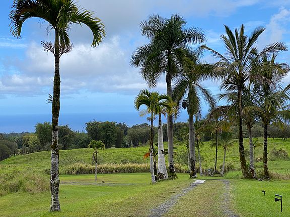 29-629 Chin Chuck Rd, Hakalau, HI 96710 | Zillow