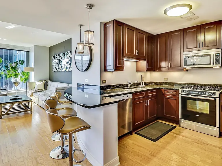 60 E Monroe St #2203 — Photo 6