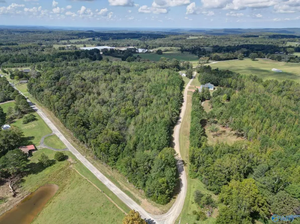 Track F Braswell Rd, Falkville, AL 35622