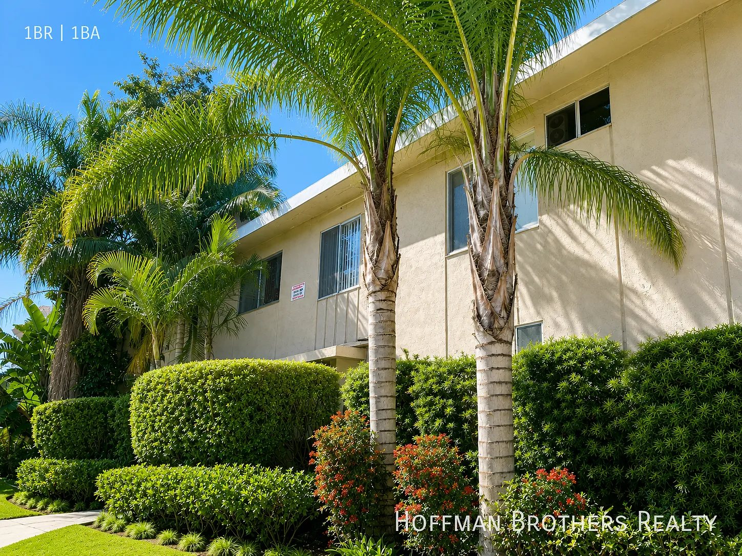 3105 Durango Ave Los Angeles, CA 90034 — Photo 3