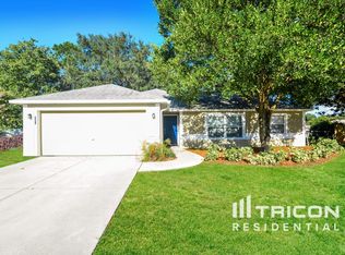 816 Arbor Hill Cir, Minneola, FL 34715