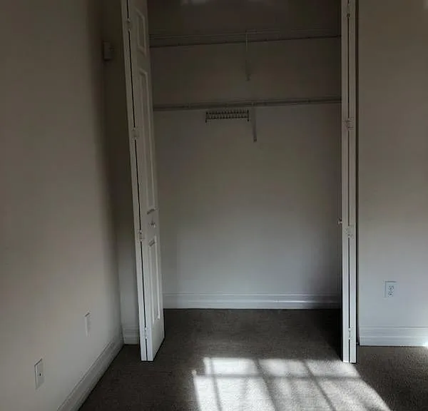11225 Sparkleberry Dr — Photo 30