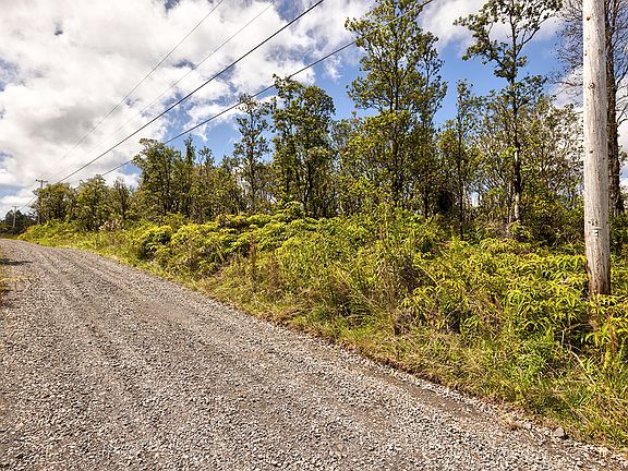 3rd image of 11-2080 Omeka Rd Lot 69