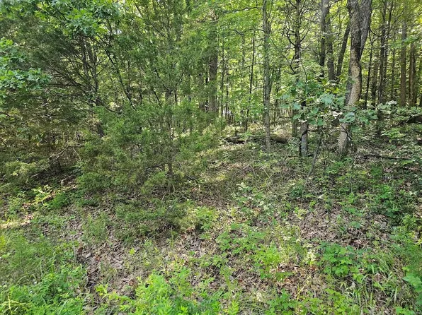 1 Grand Loop, Catawissa, MO 63015